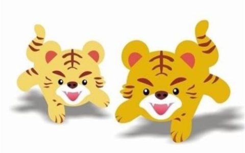 属虎的和什么属相最配、相克