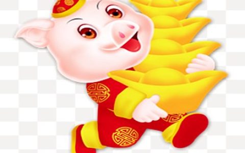 生肖猪不能配什么生肖