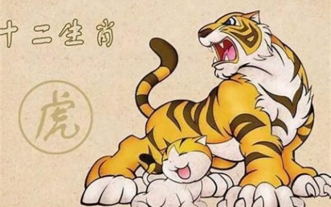 老虎最不合的四个属