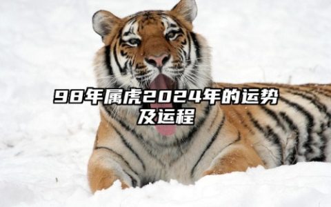 98年属虎2024年运势及运程