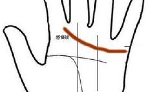 手相感情线分析步骤：教你从感情线看爱情运势！