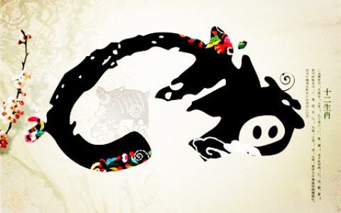 属猪生于什么时辰财运好