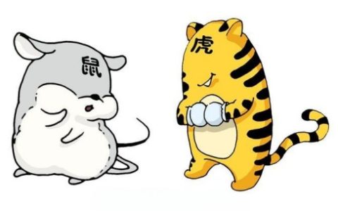属鼠和属虎的合不合