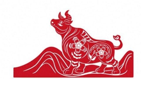 属牛的出生年份表