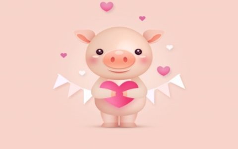 属猪的幸运色是什么