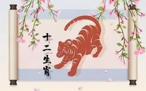 属虎2024年的运势及运程，属虎人2024年每月运势完整版！