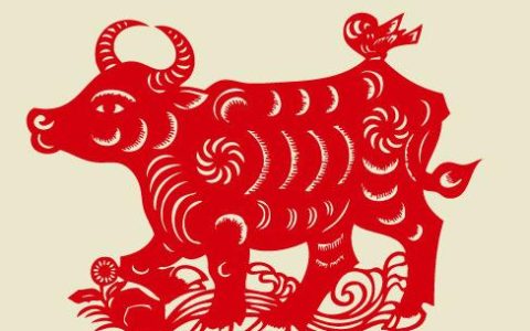 属牛的五行属性是什么