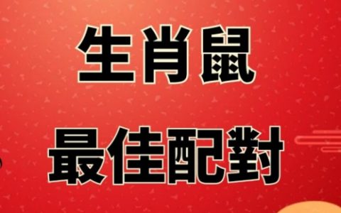 1996年属鼠的最佳配偶