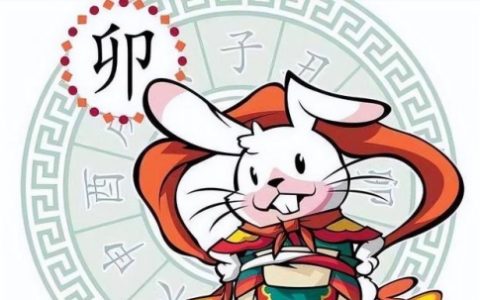 属兔人2024年全年运势运程，属兔人今年运势2024年每月运势！