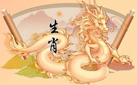 属龙2024年整体运势，属龙2024年的运势及运程！