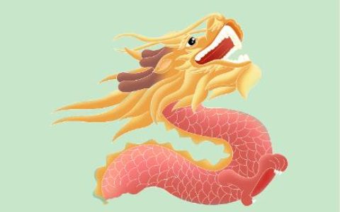 属龙的男人在乎一个人的表现