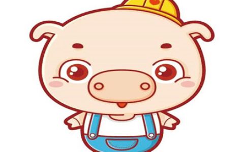 属猪犯太岁佩戴什么好