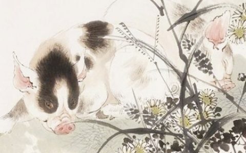 属猪农历几日出生富贵命