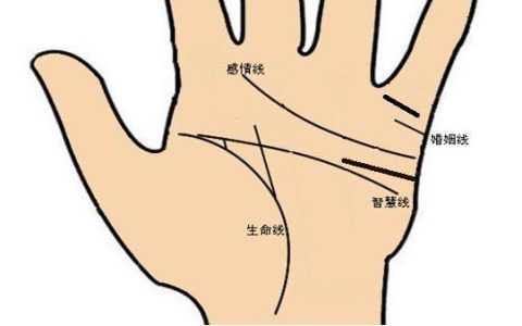 手相感情线要怎么看？从感情线图解看你的爱情观！