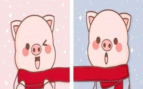 属猪男喜欢什么女人