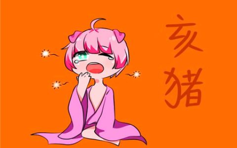 属猪女表达爱意的方式
