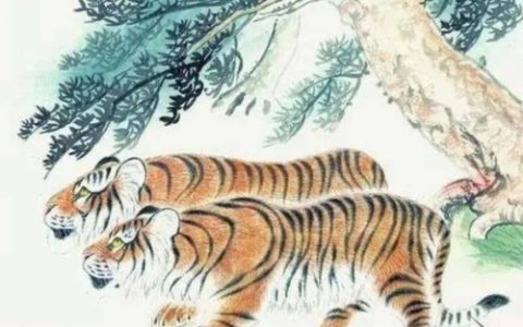属虎的佩戴什么最旺