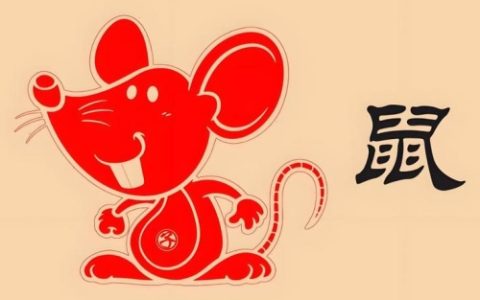 1996年属鼠是什么命