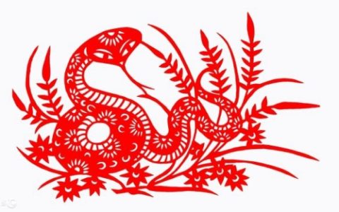 属蛇人2025年运势及运程每月运程