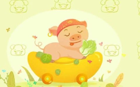 生肖猪的人2023年整体运势及运程详解_2023年生肖猪的全年运势