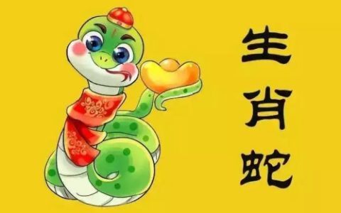 2025年属蛇人的全年运势详解