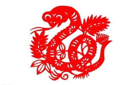 几月蛇出生最好最有福气