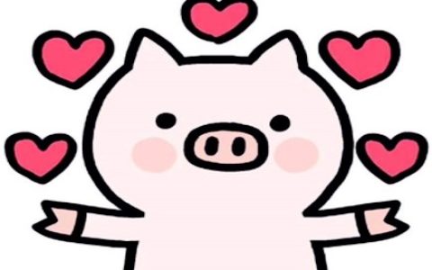 属猪女喜欢什么男人