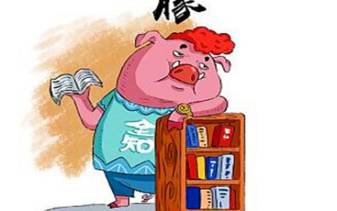 属猪的男人对待感情如何