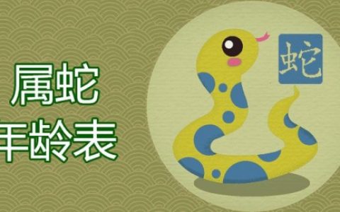 属蛇的今年多大