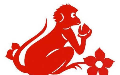 生肖猴2023年整体运势及运程详解_2023年生肖猴的全年运势