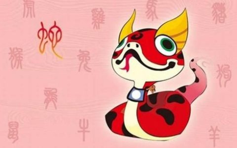属蛇的人性格和优缺点
