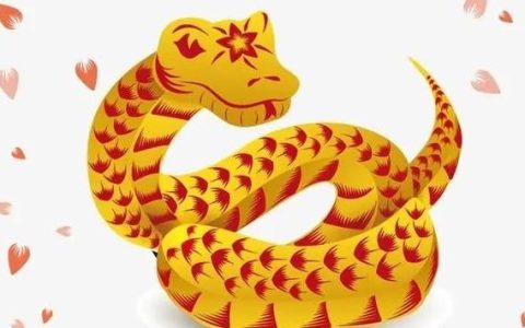 属蛇和什么属相最配