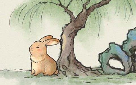 属兔人一生最克3个人