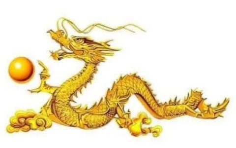 2024年属龙的是什么命