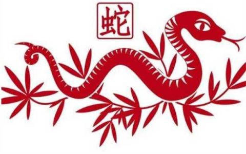 属蛇的和什么属相最配、相克