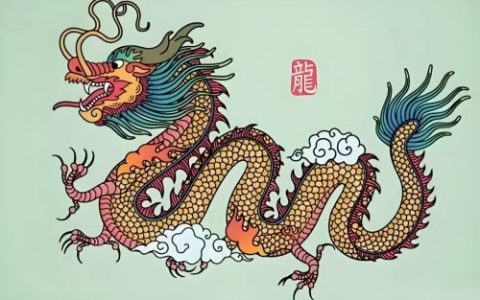 属龙的今年多大了