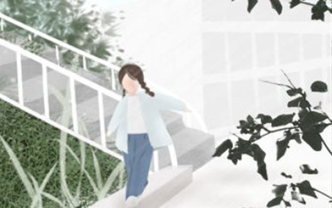 客厅盆栽风水四禁忌