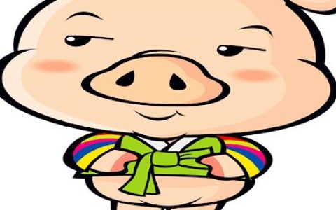 生肖猪的取名宜忌