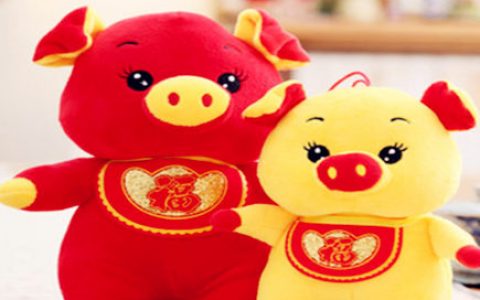 属猪遇小人怎么办 - 属猪的生肖小人