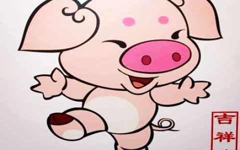 生肖属猪的人长相如何