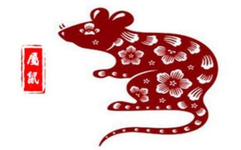 属鼠的出生年份表