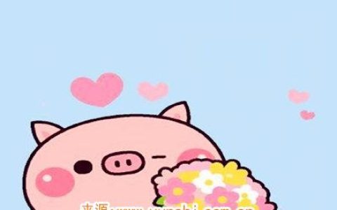属猪纹身纹什么旺财