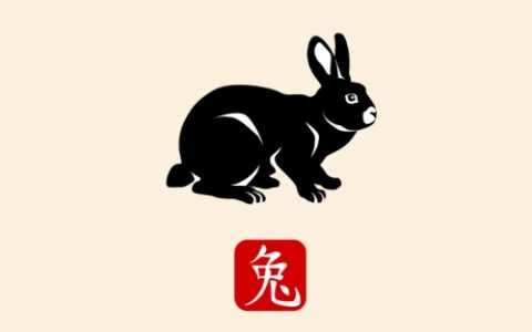 属兔的是什么命金木水火土