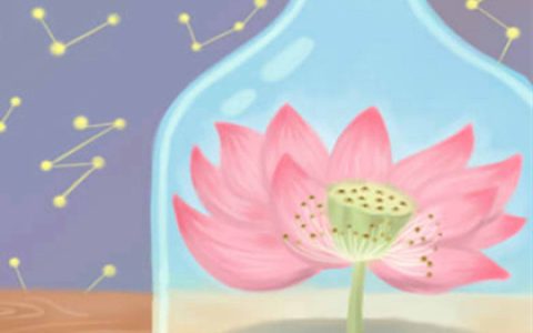 风水植护需呵护：富贵竹叶子发黄怎么办