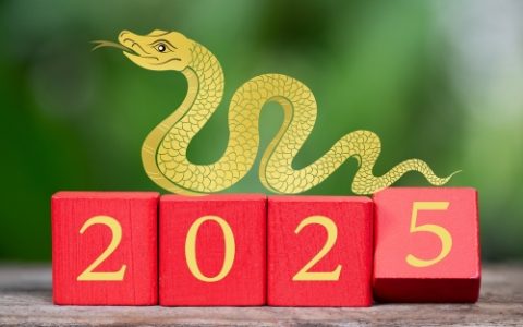 本命年蛇年要注意什么