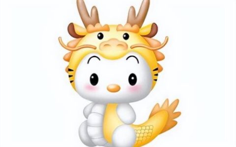 属龙和属猪的人合得来吗