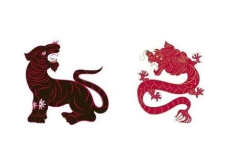 属虎和属龙的合不合