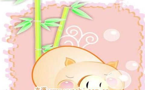属猪什么时辰出生命苦