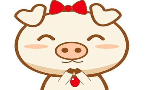 属猪起名忌讳什么