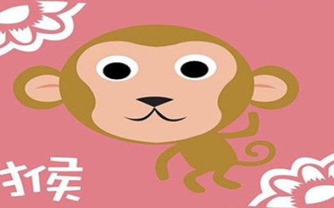 属猴人会收藏携带什么宝贝